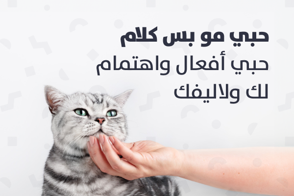 بطاقة الاهداء