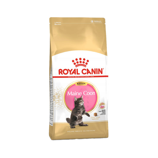 رويال كانين طعام جاف للقطط الصغيرة من سلالة مين كون