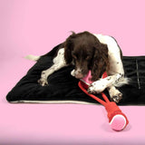 Coockoo Swing Me Dog Toy Ball with Rope Red and Pink