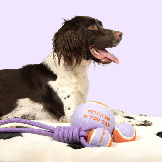 Coockoo Throw Me Dog Toy Ball with Rope Purple and Orange
