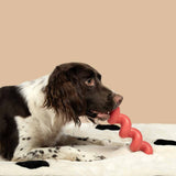 Coockoo Squiggle Dog Toy Red