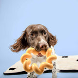 Coockoo Sunny Dog Toy Yellow