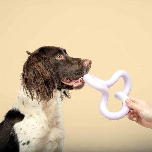 Coockoo Funky Dog Toy Purple