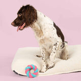 Coockoo Mallow Ring Dog Toy