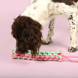 Coockoo Twisting Tugger Dog Toy Green and Pink