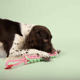 Coockoo Twisting Tugger Dog Toy Green and Pink