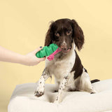 Coockoo Groovy Grip Dog Toy Green and Pink