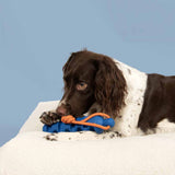 Coockoo Groovy Grip Dog Toy Blue and Orange