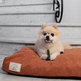 جاردن بايتس توبي توث برش مكافات للكلاب لدعم صحة الأسنان حجم صغير