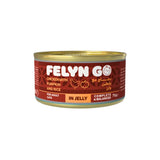 Felyn Go Wet Food for Adult Cats With Chicken and Pumpkin in Gravy 75g