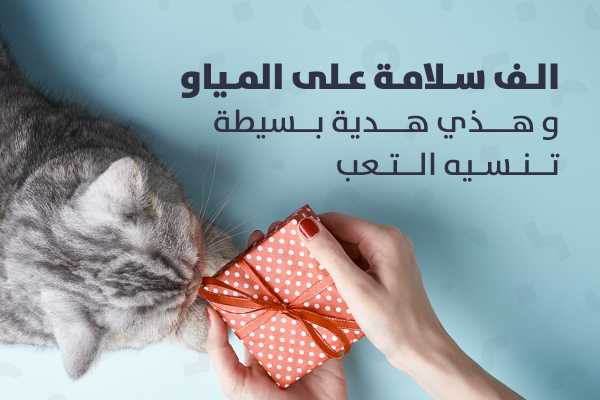 بطاقة الاهداء