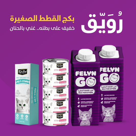بكج رُوَيّق للقطط الصغيرة