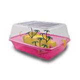 MP Bergamo Alba Multi-Colored Plastic Turtle Tub