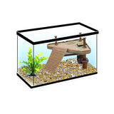 بن بلاكس قاعدة مائية صغير للزواحف | متجر باندا.