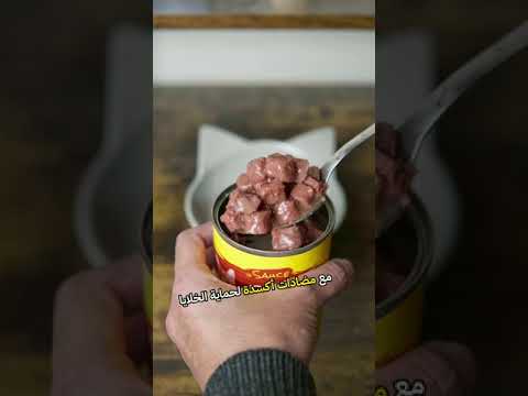 Josy Wet Food for Adult Cats - 415g - Beef Flavor in Sauce