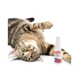 Smartycat catnip mist for cats 14ml