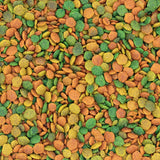 فيرسل لاقا جي 14 تروبيكال طعام للبراكيت الكبير