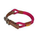 Zolux pink dog collar