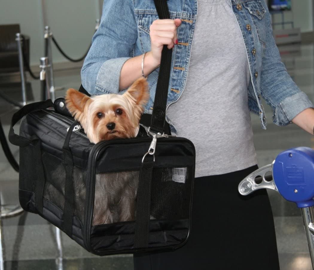 شيربا ديلوكس شنطة تنقل للقطط والكلاب | متجر باندا.