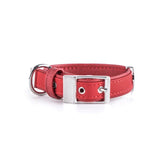 ماي فاميلي بلباو طوق جلد أحمر 36×2.2 سم