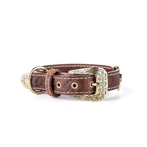 ماي فاميلي ال باسو طوق جلد بني 36×2.2 سم