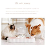 ماكلية و مشربية للقطط و الكلاب شكل كرة متعددة الالوان | متجر باندا.