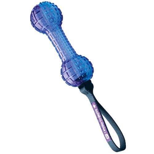 جيم دوق العاب كلاب شكل عظمة دائرية ربل مع حبل لون أزرق | متجر باندا.