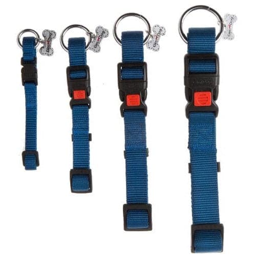 جيم دوق طوق نايلون كلاب لون أزرق 2.5*60 سم | متجر باندا.