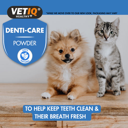 VetIQ Powder Natural Oral Care Powder For Cats and Dogs 60g