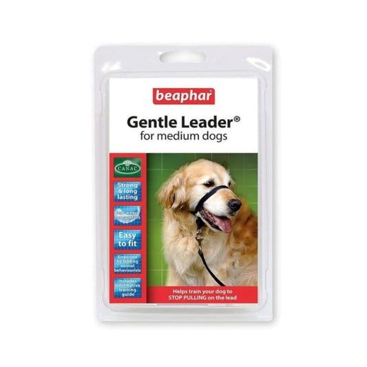 Beaphar Lead for Medium and Large Dogs