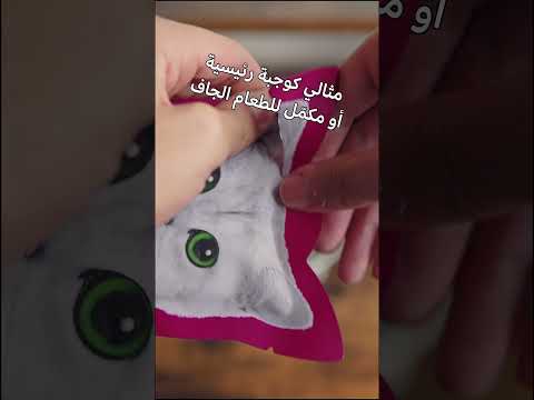 كت كات بتيت باوتش طعام رطب للقطط بنكهة التونة واللحم البقري في الجيلاتين 70غ