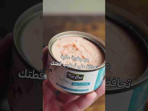 KitCat Wet Food Kitten Mousse with Tuna 80 g