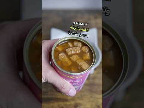 كانيفورس طعام رطب معلبات قطط صغيرة دجاج مع اللحم البقري 410غ