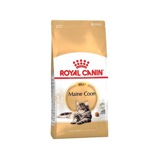 Royal Canin Dry Food for Large Maine Coon Adult Cats - 2 kg