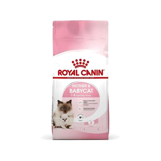 Royal Canin Dry Food for Kitten and Nursing Mothers