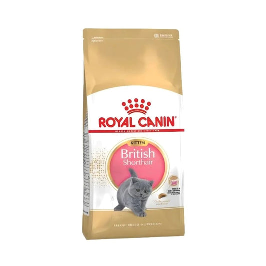 Royal Canin Dry Food British Kitten Short Hair