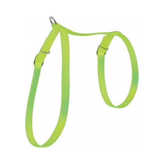 Zolux Harness for Cats, Nylon, phosphorescent 10 mm