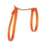 Zolux nylon harness, for cats, orange color, 10 mm