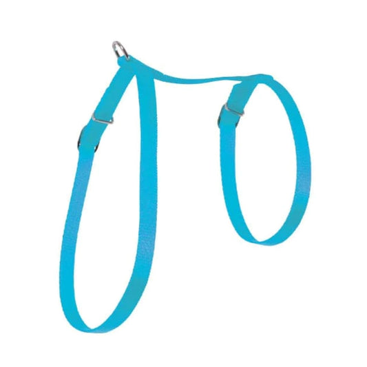 Zolux nylon harness, for cats, turquoise color, 10 mm