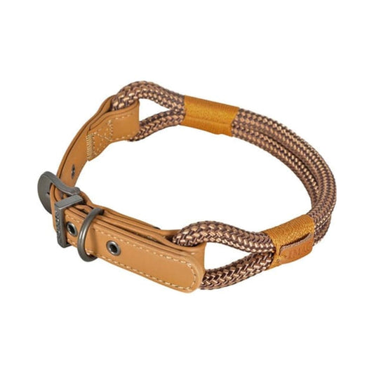 Zolux brown dog collar