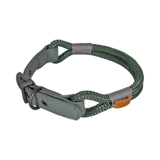 Zolux gray dog collar