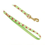 Zolux Green Butterfly Cat Leash