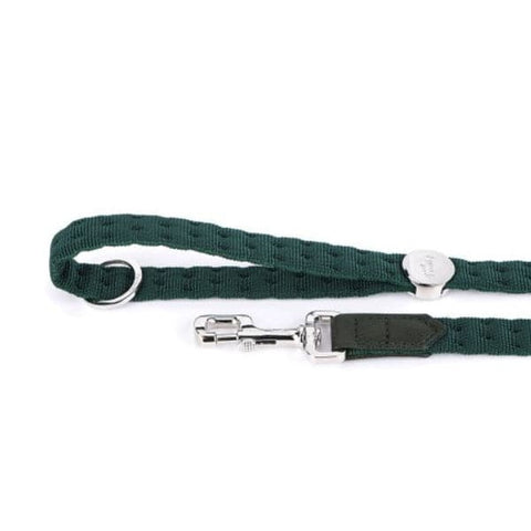 ماي فاميلي ميلان مشد نيلون للكلاب أخضر 110×1.6 سم