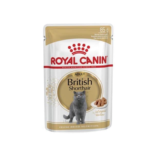 رويال كانين ظروف طعام جاف للشعر القصير للقطط البريطانية