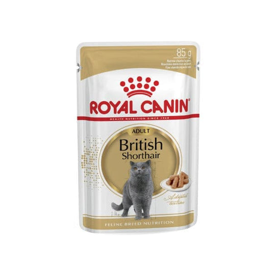 رويال كانين ظروف طعام جاف للشعر القصير للقطط البريطانية