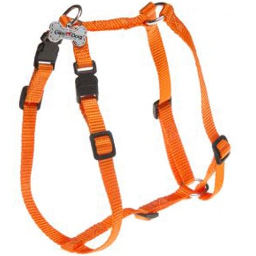 جيم دوق صدرية كلاب لون برتقالي 2.5*110*25 سم | متجر باندا.